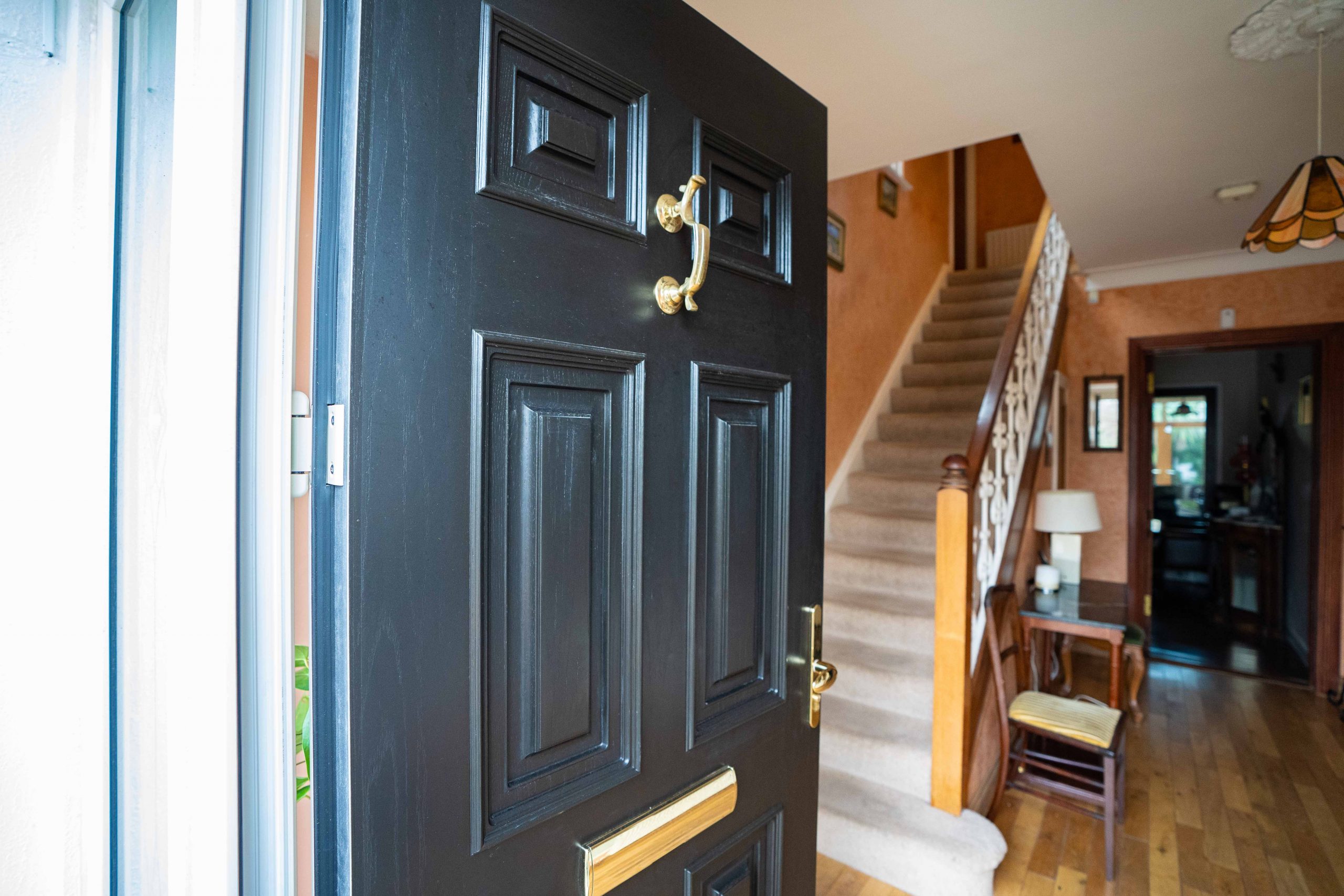 Leop - Front door - half open